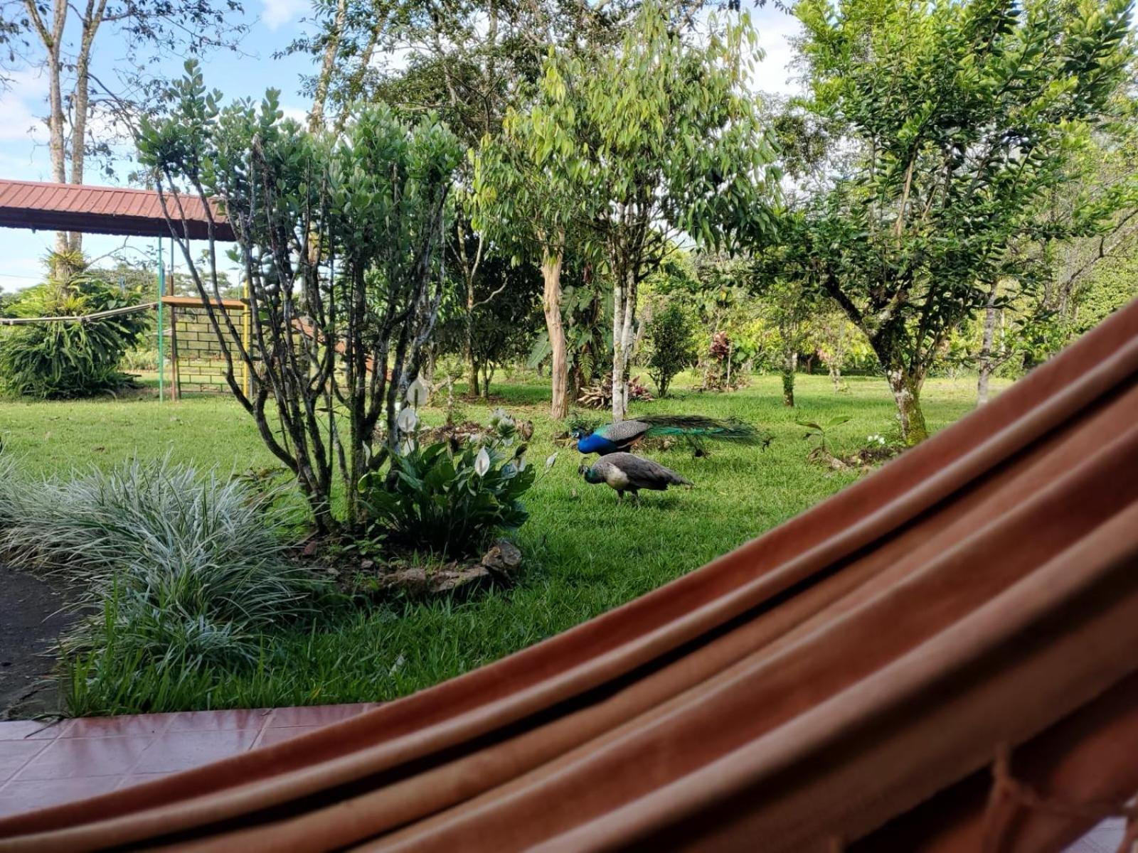 La Quinta De Andres 호텔 San Isidro  외부 사진