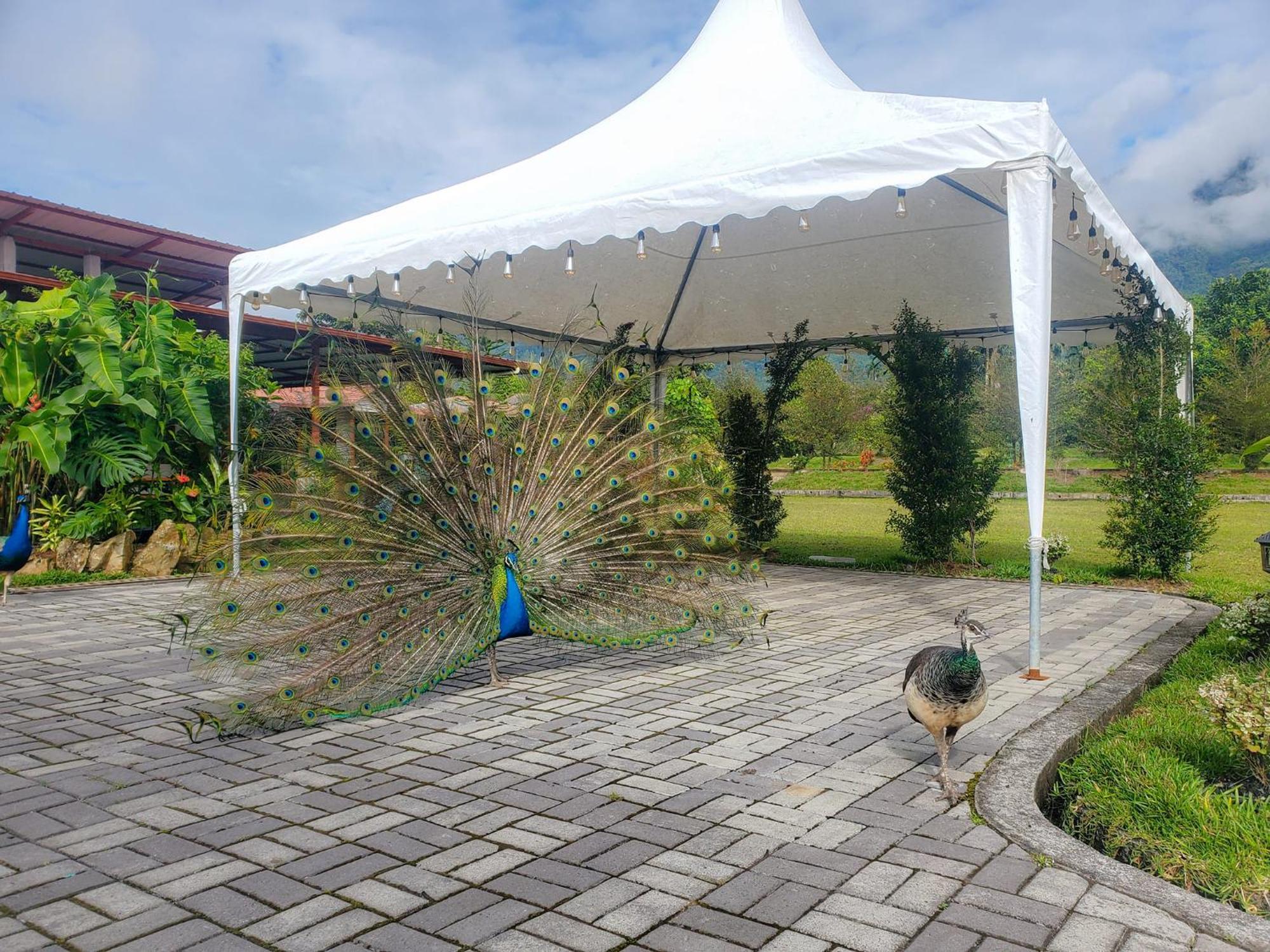 La Quinta De Andres 호텔 San Isidro  외부 사진