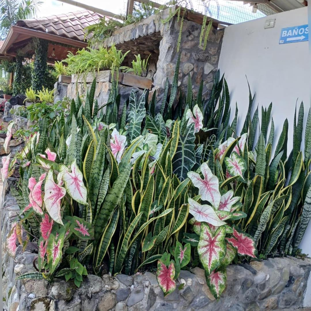 La Quinta De Andres 호텔 San Isidro  외부 사진